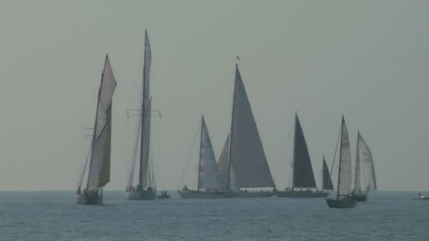 Regata de vela vieja 09 — Vídeo de stock