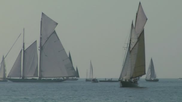 Regata de vela vieja 10 — Vídeo de stock