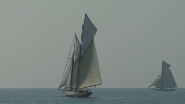 Vecchia regata velica 11 — Video Stock