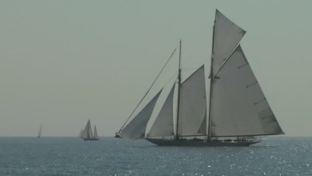 Ancienne régate de voile 12 