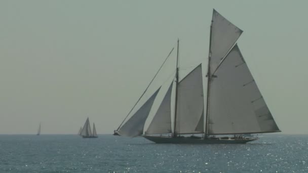 Regata de vela vieja 12 — Vídeo de stock