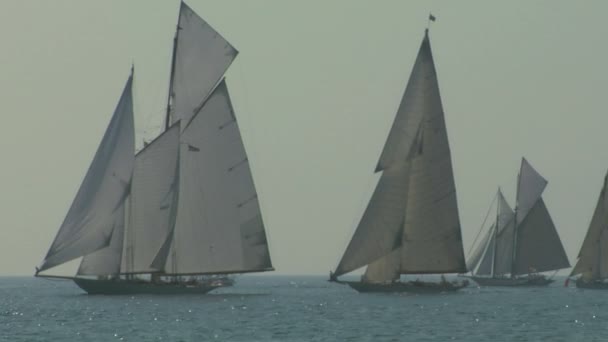 Régi vitorlás regatta 14 — Stock videók