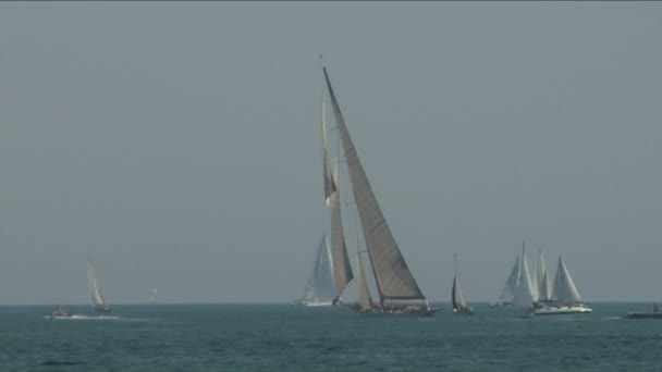 Antigua regata de vela 16 — Vídeo de stock