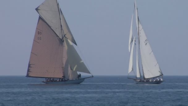 Gamla segel regatta 21 — Stockvideo