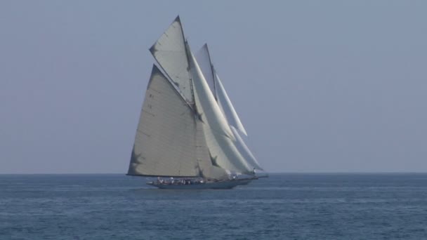 Alte Segelregatta 23 — Stockvideo