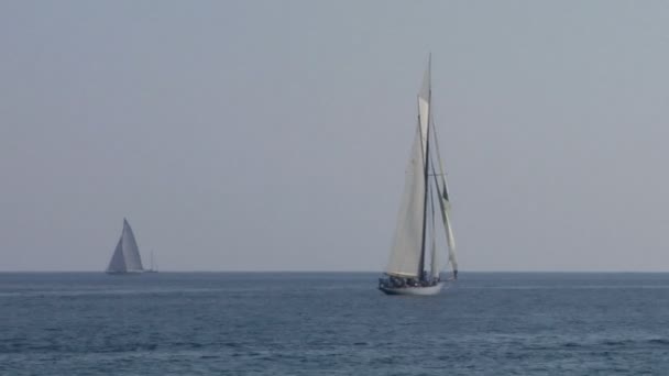 Regata de vela vieja 24 — Vídeo de stock