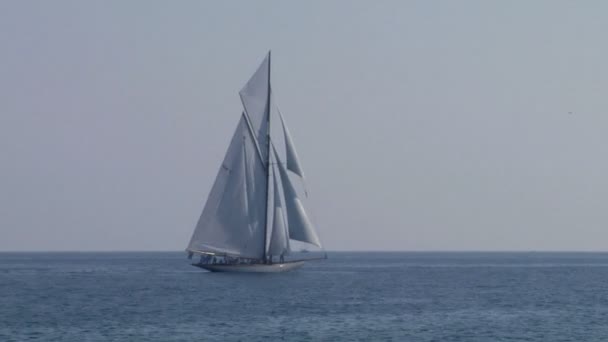 Alte Segelregatta 25 — Stockvideo