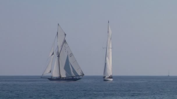 Alte Segelregatta 26 — Stockvideo