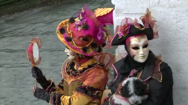 Venetian mask — Stock Video