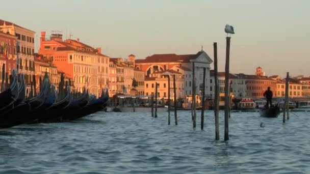 Венеція гондоли — стокове відео