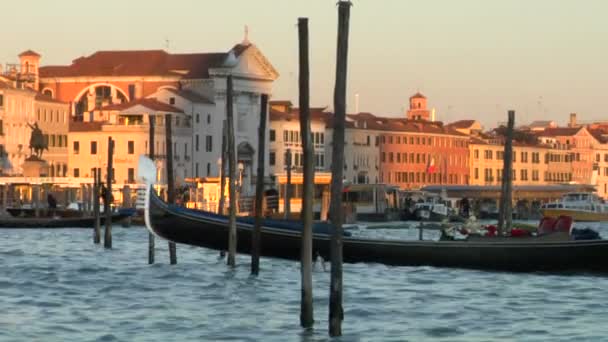 Venice gondolas — Stock Video