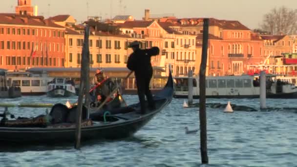 Venedigs gondoler — Stockvideo