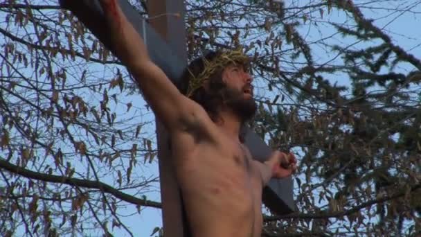 Crucifixion — Video