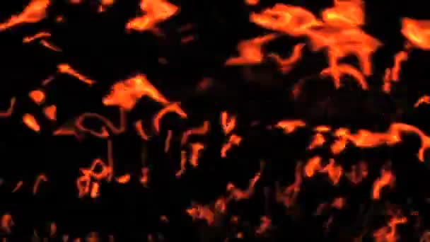 抽象光 — 图库视频影像