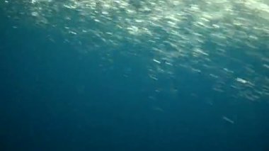 Su hattı ağır çekim