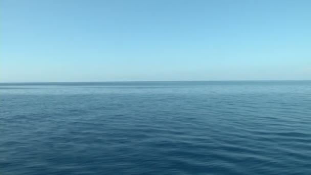 Mer Plus 