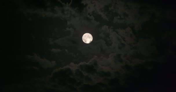 Nubes de Luna Llena — Vídeo de stock