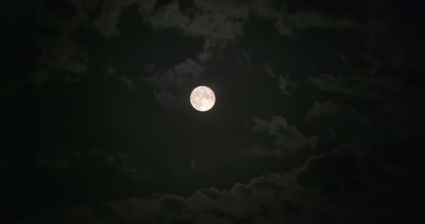Nubes de Luna Llena — Vídeo de stock
