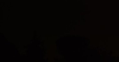 Şimşek Gecesi Ağacı