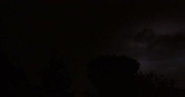 Şimşek Gecesi Ağacı