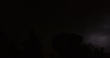 Şimşek Gecesi Ağacı