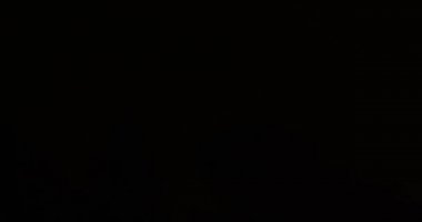 Şimşek Gecesi Ağacı