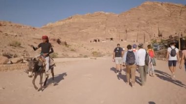 Ürdün çölünde eşekler. Eşeklerin sırtında, Bedeviler ya da turistler tarafından binilmesi için bir eyer var.