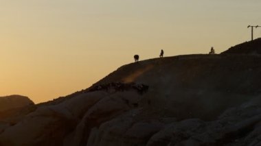 Ürdün çölünde eşekler. Eşeklerin sırtında, Bedeviler ya da turistler tarafından binilmesi için bir eyer var.