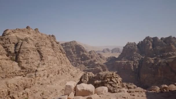 Osły Jordańskiej Pustyni Osły Mają Siodło Plecach Którym Mogą Jeździć — Wideo stockowe