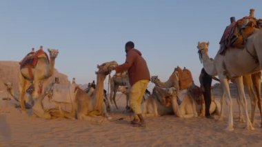 Kum tepelerindeki deve kervanı