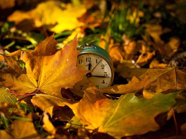 Autumn composition with hours — Stock Photo, Image
