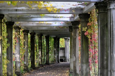 Colonnade eski, terk edilmiş bir bahçe içinde
