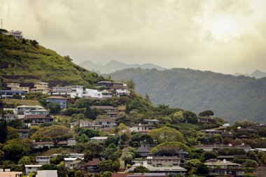 Hawaiian hillside