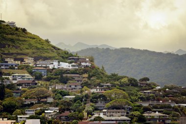 Hawaiian hillside clipart