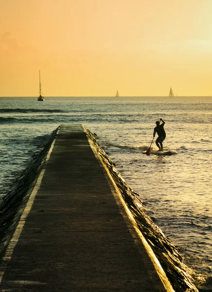 Waikiki pier ve paddleboarding bir adam