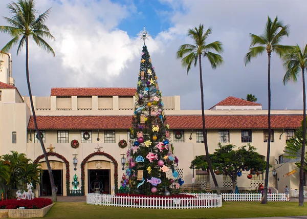 Honolulu christmas tree — Stock Photo, Image