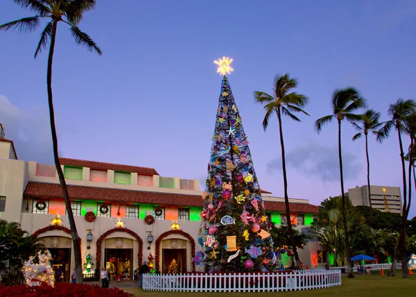Honolulu Noel ağacı