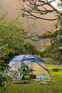 Hawaii'de kamp