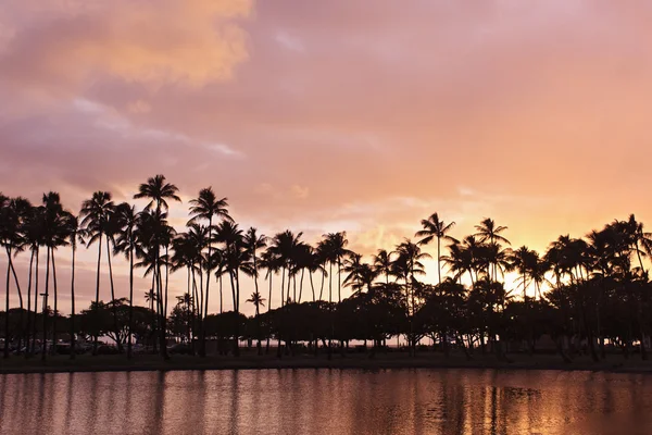 夏威夷椰树晚霞 — 图库照片