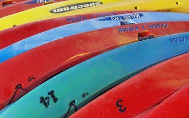 Deniz kayaklarının