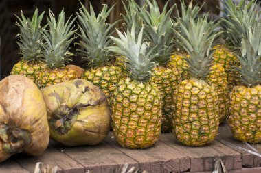 Hawaiian meyve standı