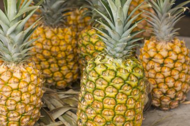 ananas görüntüleme