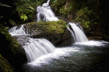 Onomea Falls