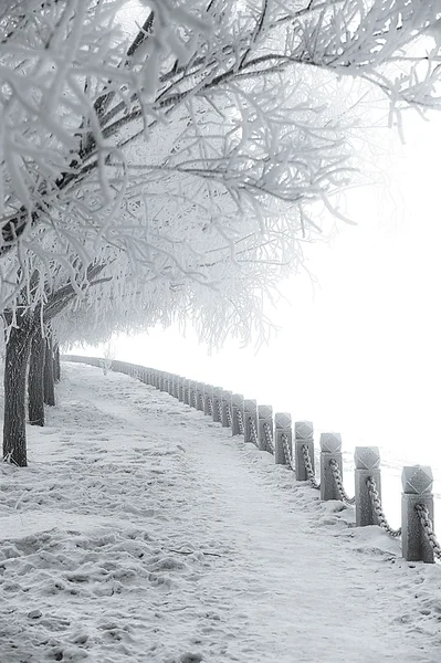 Inverno, Scena di neve, Lago ghiacciato, Zona panoramica famosa, il Monte Lu della Cina — Foto Stock