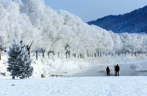 The beautiful scenery in winter sky house, in the Mohe County region of China — Stock Photo, Image