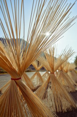 yol kenarındaki Anıtı