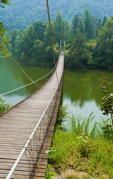 Most do džungle — Stock fotografie