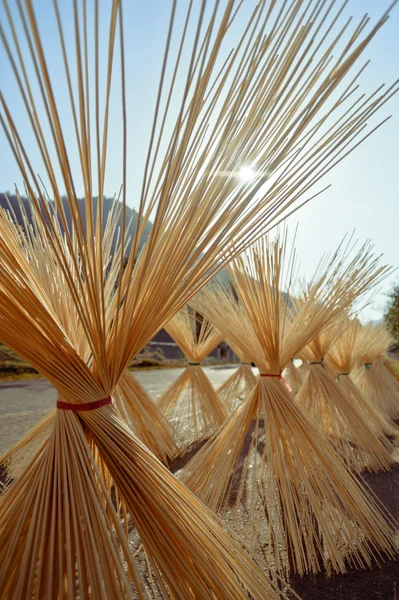 yol kenarındaki Anıtı