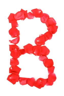 güzel bir beyaz b izole kırmızı gül yaprakları mektup yapılmış