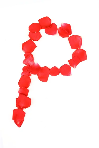 Beautiful made from red Rose petals Letter isolated on a white b — Stock Photo, Image